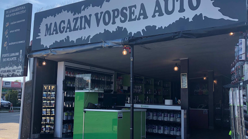 Magazin Vopsea Auto