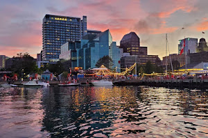 City Harbour Cruises image