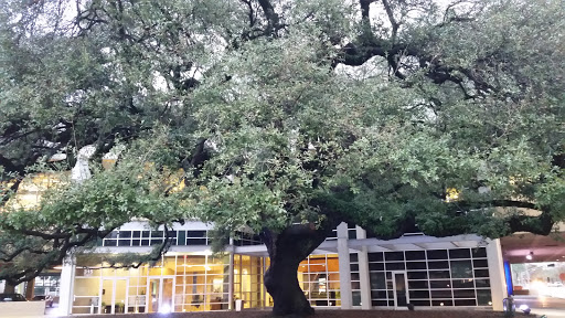 Performing Arts Theater «The Hobby Center for the Performing Arts», reviews and photos, 800 Bagby St, Houston, TX 77002, USA