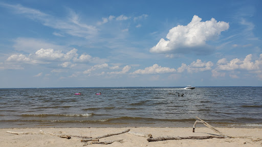 Historical Landmark «George Washington Birthplace National Monument», reviews and photos, 1732 Popes Creek Rd, Colonial Beach, VA 22443, USA