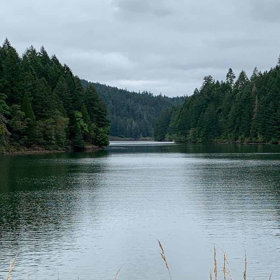 Cooper Creek Reservoir