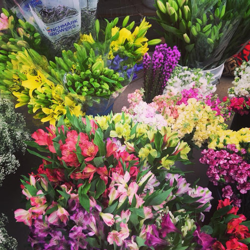 Greenhouse «Ironwood Floral & Greenhouse», reviews and photos, 117 E 20th St, Pueblo, CO 81003, USA