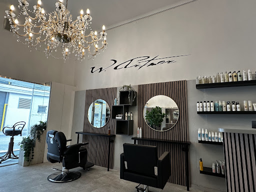Kamm In Hairstyle W. Artner In Vienna