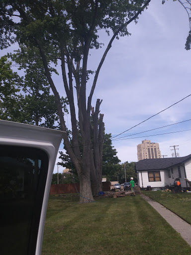 Bar & Grill «Rec Bowl», reviews and photos, 40 Crocker Blvd, Mt Clemens, MI 48043, USA