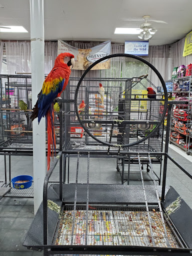 Elsy's Birds & Feed Store