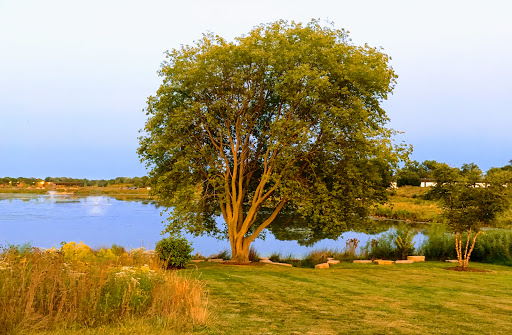 Gym «Wheeling Park District», reviews and photos, 333 W Dundee Rd, Wheeling, IL 60090, USA