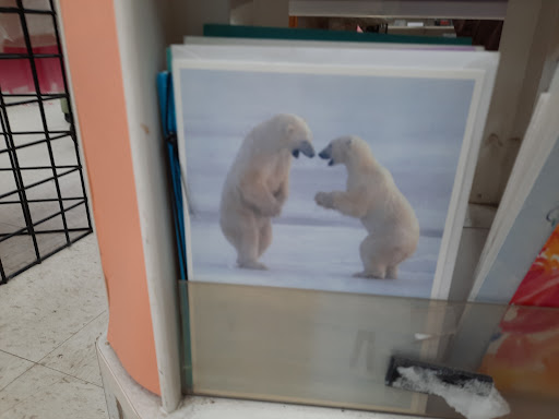 Thrift Store «RiverWorks Community Development», reviews and photos, 8900 Walnut St, Rockford, MN 55373, USA