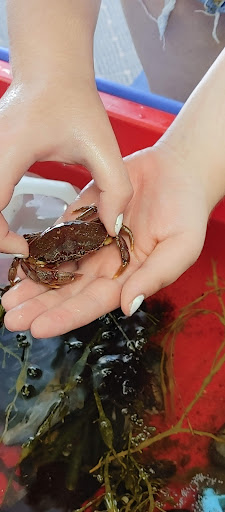 Aquarium «Explore the Ocean World, llc Oceanarium», reviews and photos, 367 Ocean Blvd, Hampton, NH 03842, USA