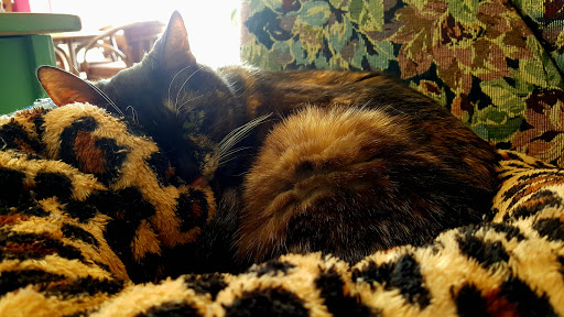 Coffee Shop «Downtown Video & You Maka Me HOT Coffee Roasting Company», reviews and photos, 101 NE 1st Ave, Mineral Wells, TX 76067, USA