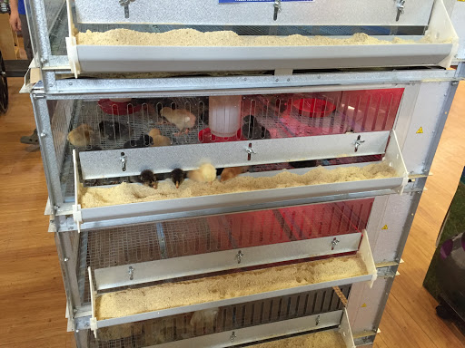 Animal Feed Store «West Lebanon Feed & Supply», reviews and photos, 12 Railroad Ave, West Lebanon, NH 03784, USA