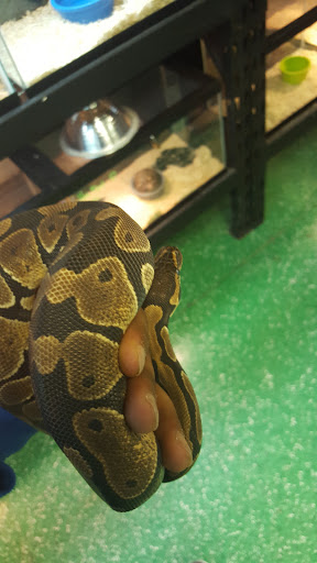 T & B Reptile Zone, 2703 George Washington Memorial Hwy, Yorktown, VA 23693, USA, 