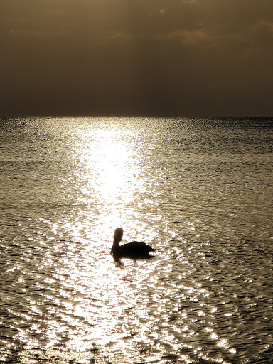 Club «Bay Colony Beach Club», reviews and photos, 8553 Bay Colony Dr, Naples, FL 34108, USA