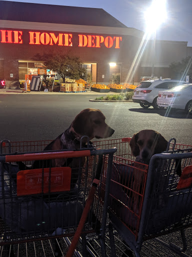 Home Improvement Store «The Home Depot», reviews and photos, 736 Route 202 South, Bridgewater, NJ 08807, USA