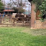 Photo n°28 de l'avis de Giovanni.e fait le 26/07/2021 à 14:26 sur le  Agriturismo Vivinatura Hotel Country Resort à Pompei