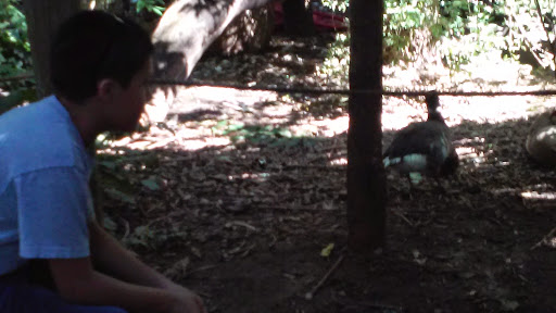 Zoo «Denver Zoo», reviews and photos, 2300 Steele St, Denver, CO 80205, USA