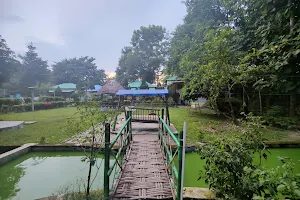 Hollong Eco Village Resort image