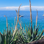 Photo n°2 de l'avis de Eva.o fait le 07/06/2022 à 17:14 sur le  Hotel Cernia Isola Botanica à Sant'Andrea