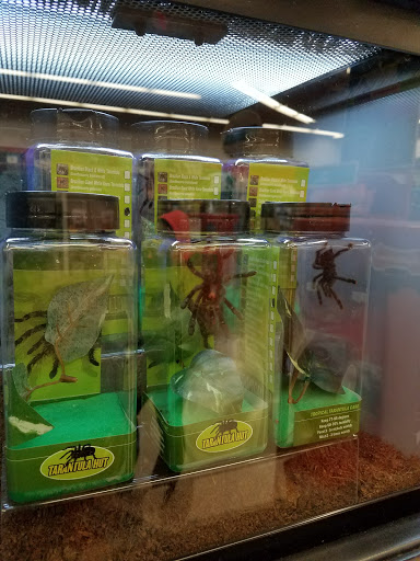 Pet Supply Store «Petco Animal Supplies», reviews and photos, 125 Lincoln Hwy, Exton, PA 19341, USA