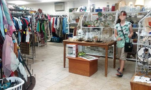 Thrift Store «Throw Back Thrift», reviews and photos, 1344 Easton Rd, Abington, PA 19001, USA