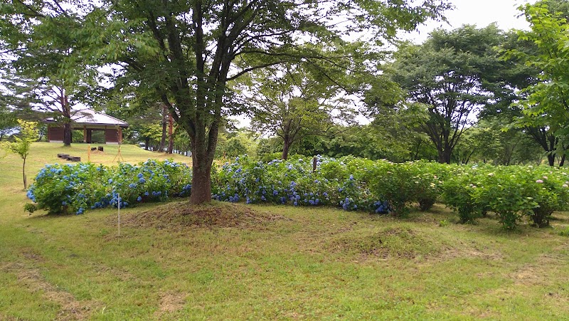 翠雲公園