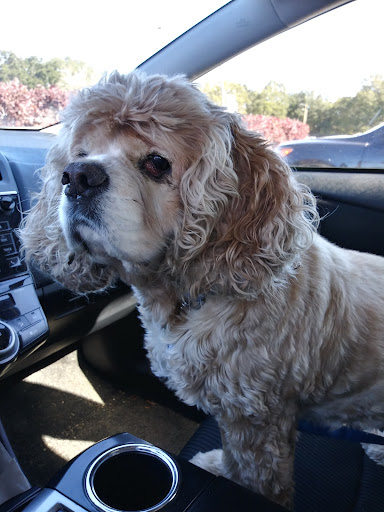 4541 Chumuckla Hwy, Milton, FL 32571, USA