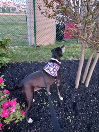 Park «Fox Park», reviews and photos, Ocean Ave, Wildwood, NJ 08260, USA