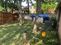 AVALAWN Complete Tree, Lawn & Fence - Car repair in , Arlington - Rated 4.6/5
