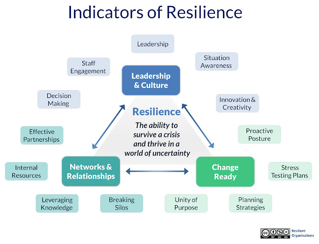 Resilient Organisations - Christchurch