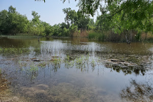 Estero Llano Grande State Park