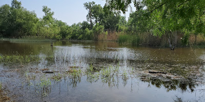 Estero Llano Grande State Park