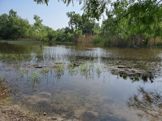 Estero Llano Grande State Park