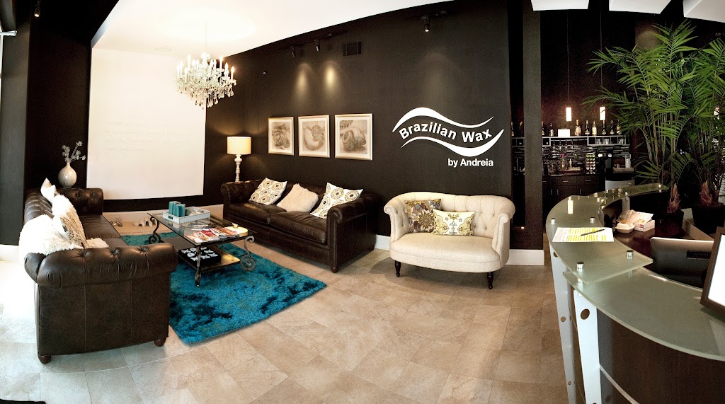 Brazilian Wax by Andreia 30068
