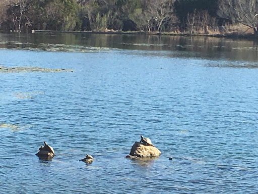 Club «The Club at Garden Ridge», reviews and photos, 21320 Water Wood Dr, San Antonio, TX 78266, USA