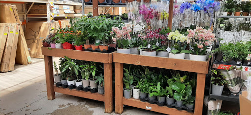 Home Improvement Store «The Home Depot», reviews and photos, 1149 Hingham St, Rockland, MA 02370, USA