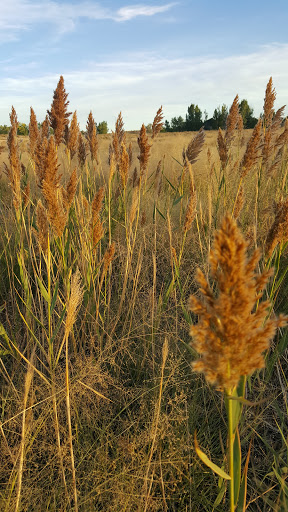 Golf Course «Walking Stick Golf Course», reviews and photos, 4301 Walking Stick Blvd, Pueblo, CO 81001, USA