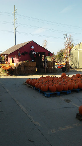 Landscaper «Landscape Source», reviews and photos, 167 Ole W Ln, Rockwall, TX 75087, USA