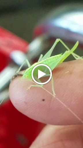 Grocery Store «Grocery Outlet Bargain Market», reviews and photos, 19800 44th Ave W, Lynnwood, WA 98036, USA