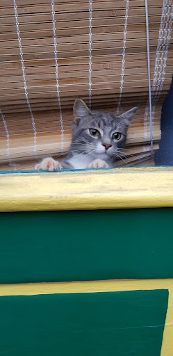 Gift Shop «Horizons Gifts», reviews and photos, 105 Race St, Jim Thorpe, PA 18229, USA