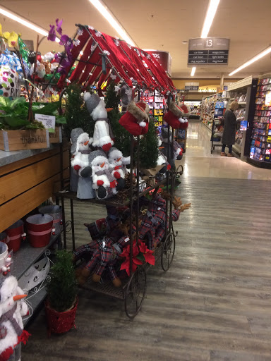 Vons image