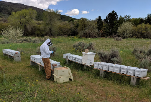 Honey farm West Jordan
