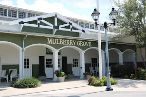 Mulberry Grove Pool & Recreation Center image