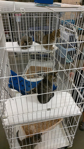 Pet Supply Store «PetSmart», reviews and photos, 1945 Pavilion Way, Lexington, KY 40509, USA