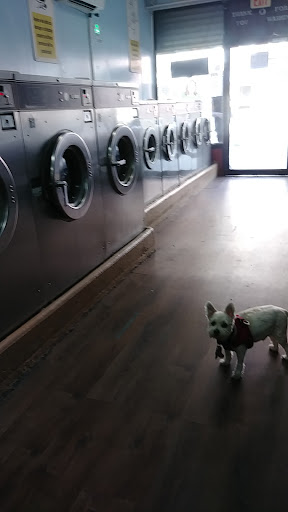 Laundromat «E N & S Laundromat», reviews and photos, 172 Tompkins Ave, Brooklyn, NY 11206, USA