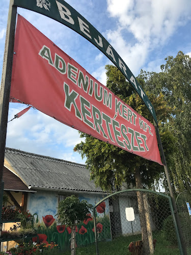 Adenium Kert Kft. - Kertészkedő