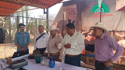 El Trago de Moctezuma - Comunidad, 76260 El Lobo, Qro., Mexico