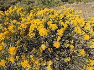 Northridge Park - photo 37