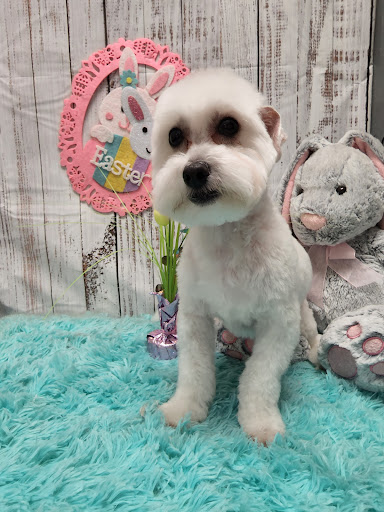 Wizzard of Pawz Grooming