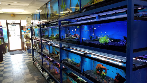 Pet Store «Fish 4 U», reviews and photos, 4010 Highland Dr #1, Millcreek, UT 84124, USA