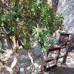 Photo n°2 de l'avis de Marco.a fait le 25/10/2021 à 09:24 sur le  Le Cantine di Tullio à Labro