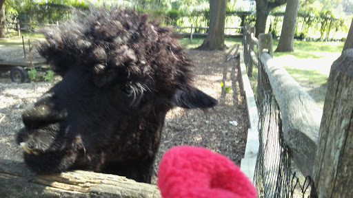 Museum «Rock Hall Museum», reviews and photos, 199 Broadway, Lawrence, NY 11559, USA